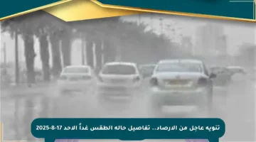 تنويه عاجل من الأرصاد.. تفاصيل حالة الطقس غداً الأحد 17-8-2025